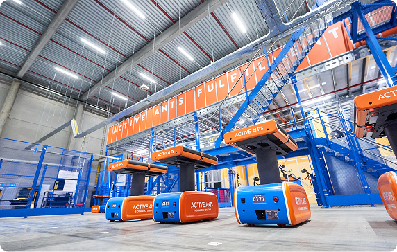 E-fulfilment by Active Ants