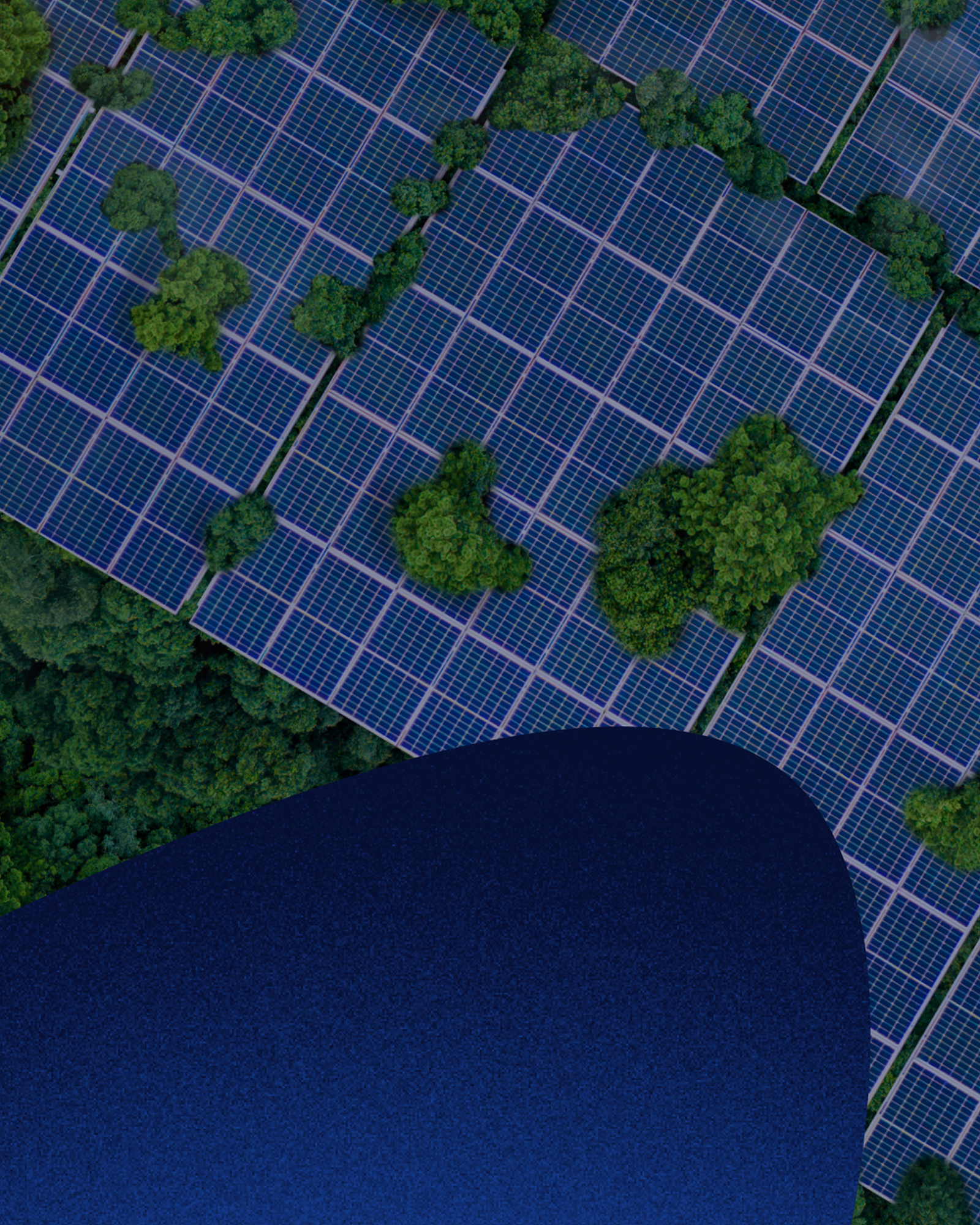 How we contribute to a more sustainable world